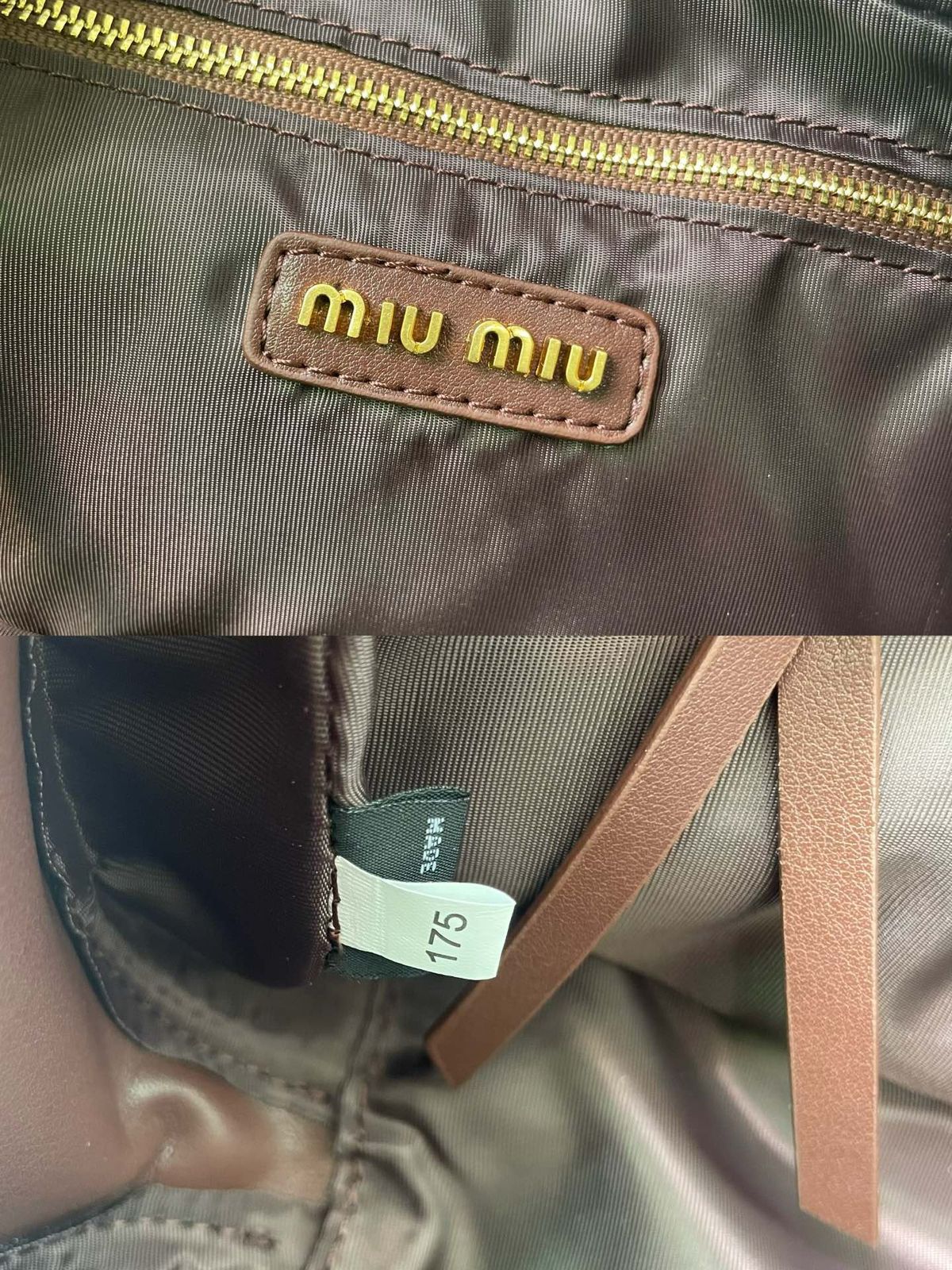 MIU MIU ARCADIA