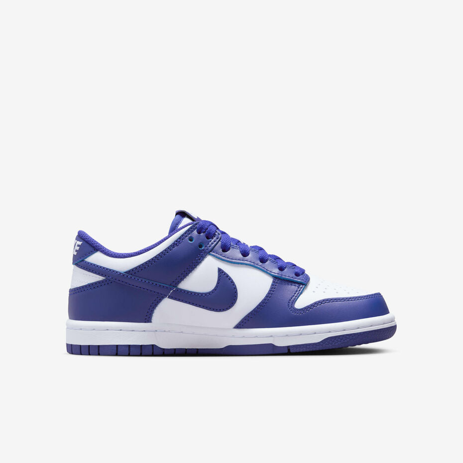 NIKE DUNK LOW PRO