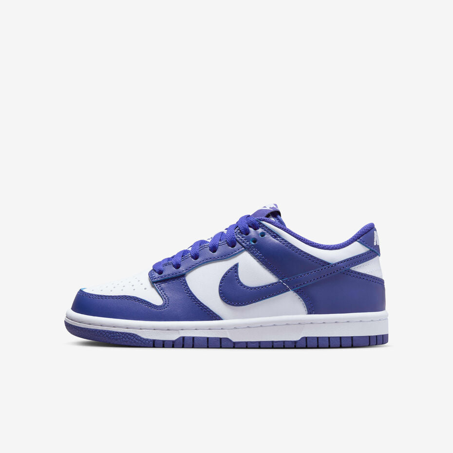 NIKE DUNK LOW PRO