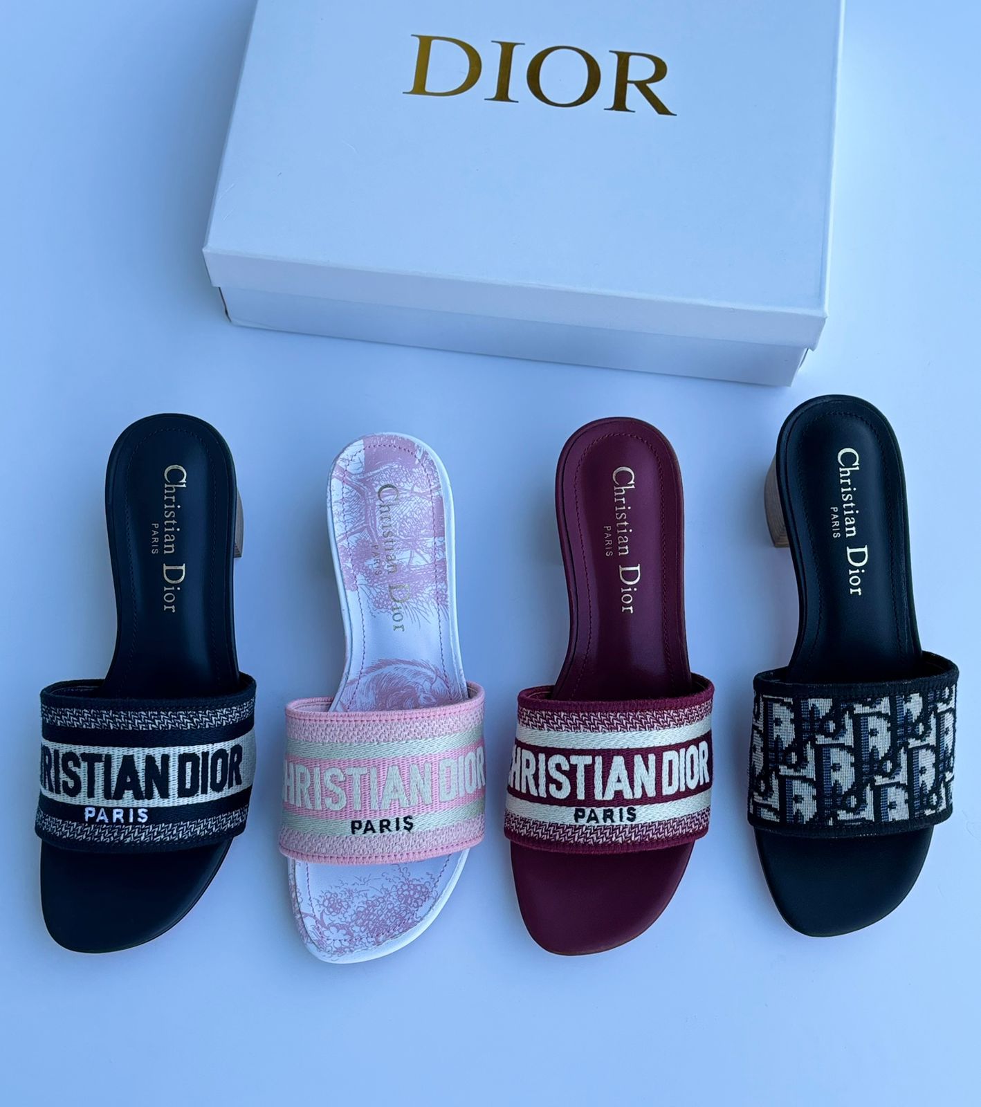 DIOR DWAY SLIDES SANDAL