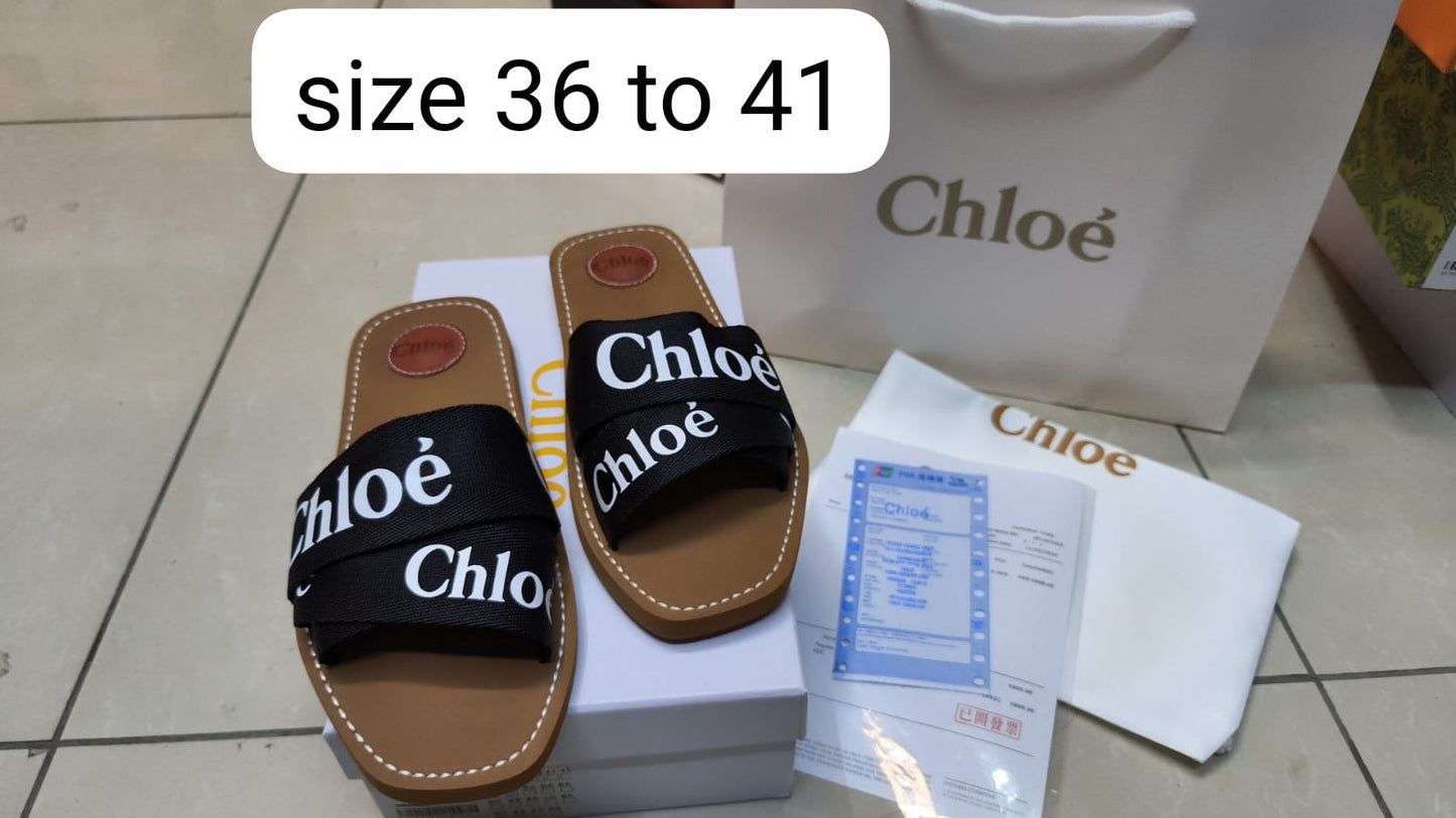 CHLOE WOODY LOGO CANVAS SLIDES