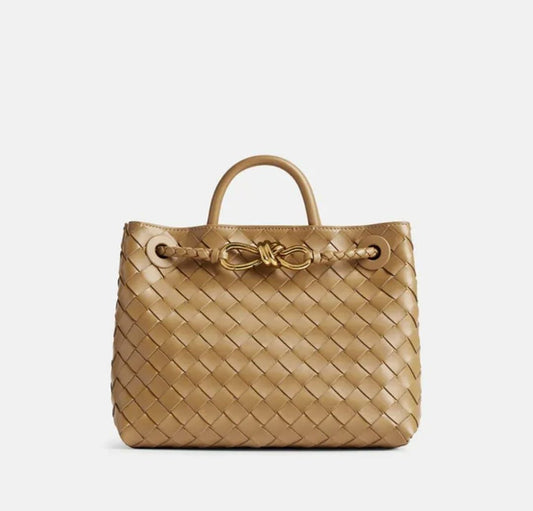 BOTTEGA VENETE SMALL ANDIAMO BAG