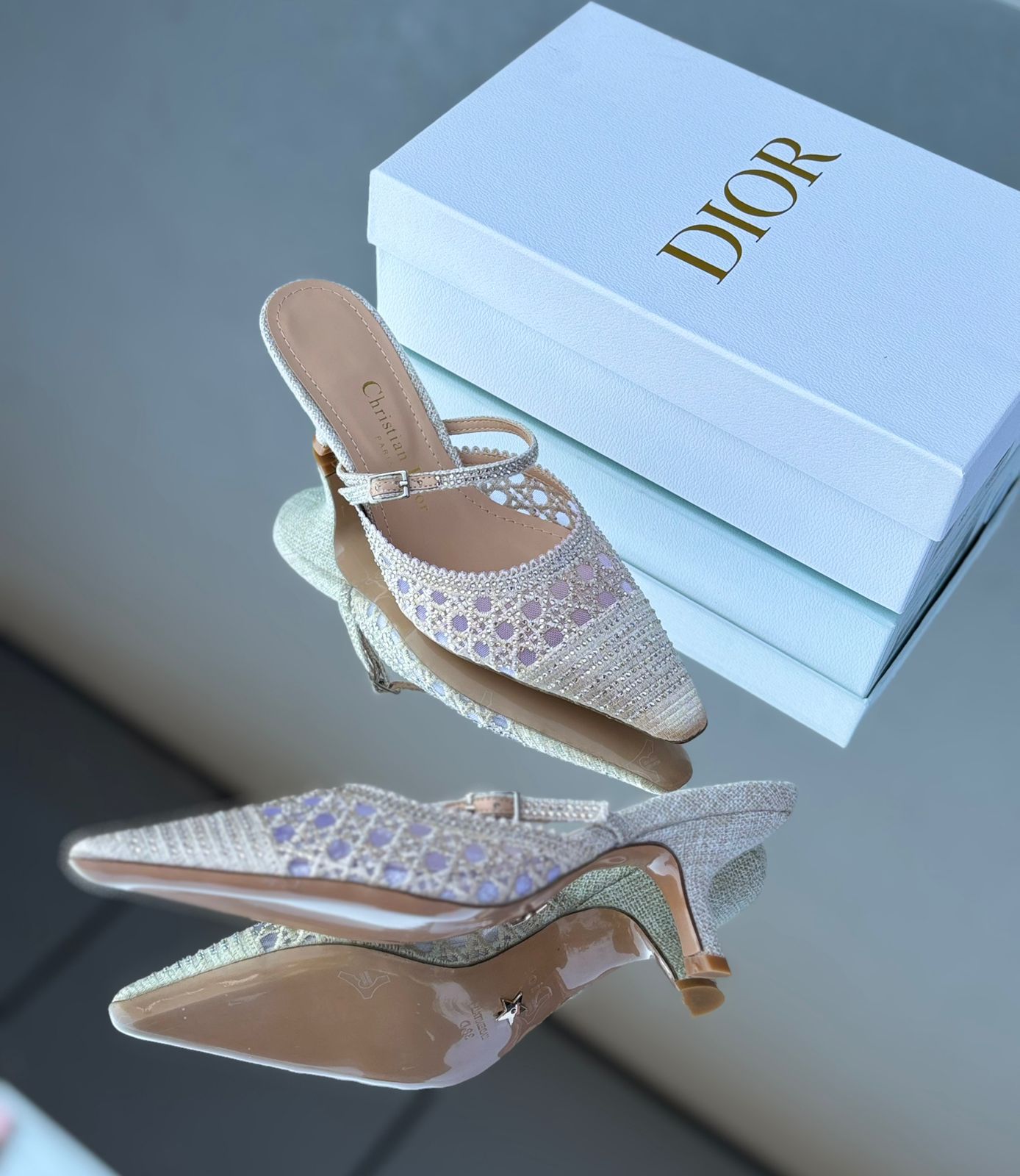 DIOR CAPTURE HEELED MULES