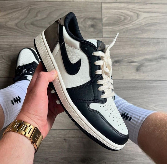 Jordan 1 low cut