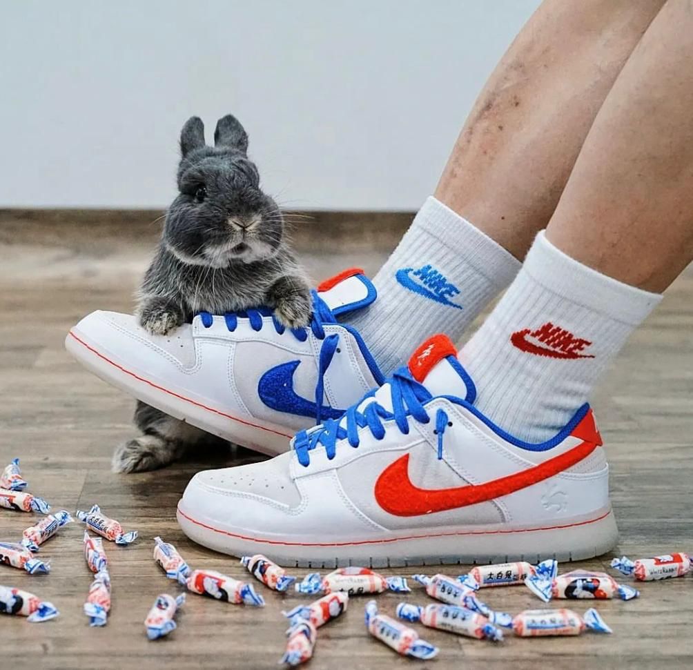 Nike Dunk Low 'Year of the Rabbit - White Rabbit Candy' FD4203-161